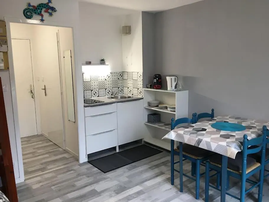 Studio Duplex Vue Mer 100M De La Plage Saint-Nic 0*,